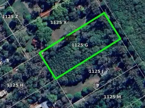 Terreno en Venta de 6250,0 m2