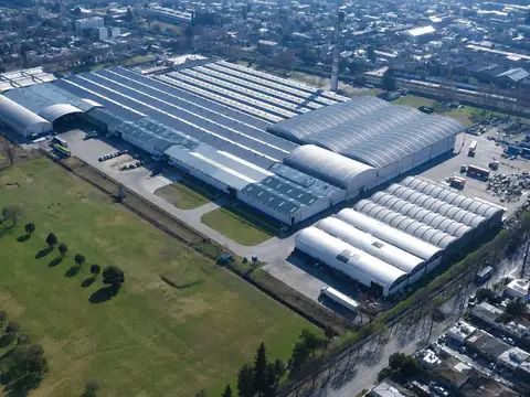 M. Ocampo al 1100