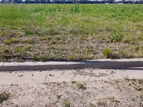 Florencio Lauret 100