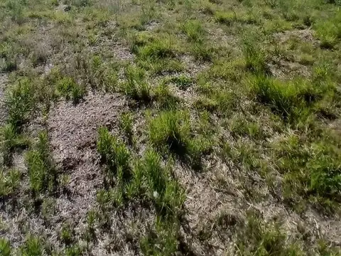 Terreno en Venta en Colonia Tirolesa, USD 15.000