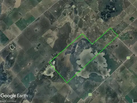 Campo En Venta. Carlos Tejedor, Bs Aires. 592 Has