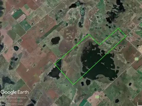 Campo en Venta de 592  ha
