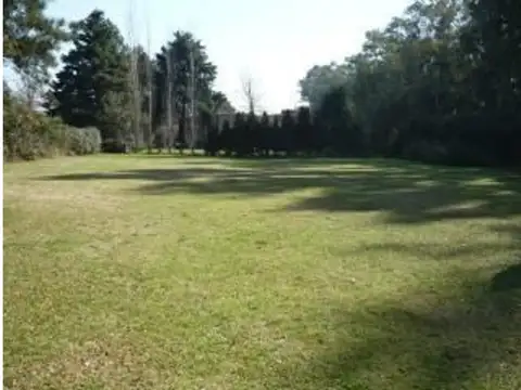 Terreno en Venta 45  mts Fondo