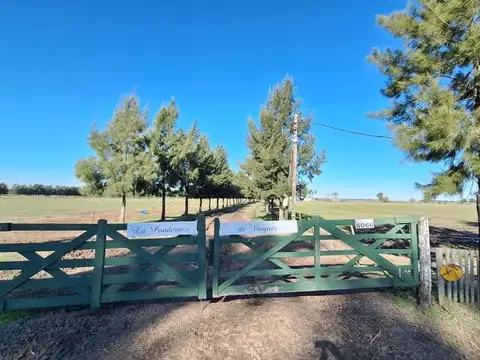 VENTA  DE CAMPO BRANDSEN 13 Ha