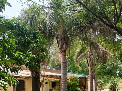 A 270 mts. de Avenida del Rosario (interno)