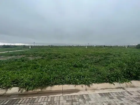 Calle 63 Lote / N° 7800