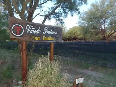 Fondo Comercio en Venta 14 años