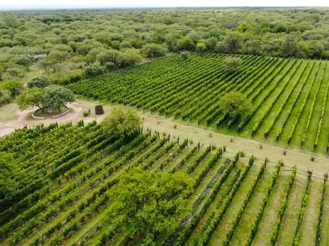 Fondo Comercio en Venta en Merlo, USD 270.000