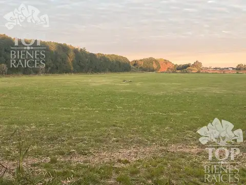 Camino de la Costa Brava, Parque Industrial Zarate