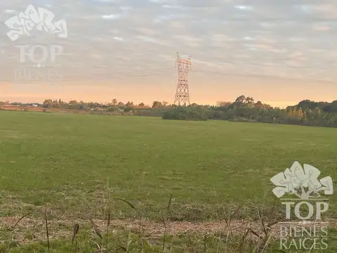 Terreno en Venta en Zarate, USD 1.000.000