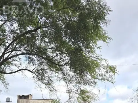 Terreno en Venta 30  mts Fondo