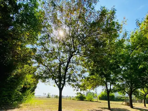 Terreno en Venta de 1117,0 m2