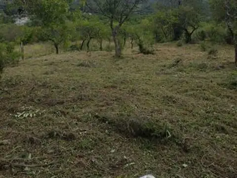 Terreno en Venta en Santa Rosa De Calamuchita, USD 15.000