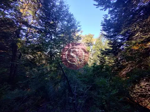 Lote  en Venta en Kaleuche, San Martin de los Andes, Patagonia