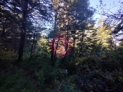 Terreno en Venta en San Martín de los Andes, USD 18.000
