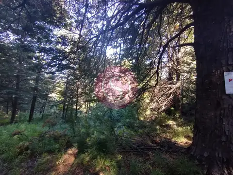 Terreno en Venta de 546,0 m2