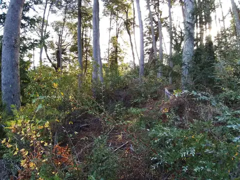 VENTA Lote/Terreno con Financiación de 1246,42 m2 UF 2 - Faldeo del Bayo, Villa La Angostura