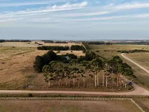 Chacra en venta en José Ignacio 5 Hectáreas