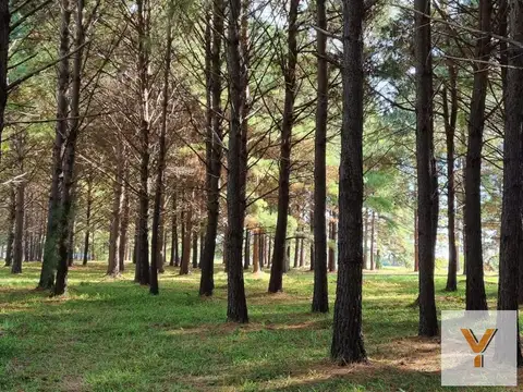Terreno en Venta de 2004,0 m2