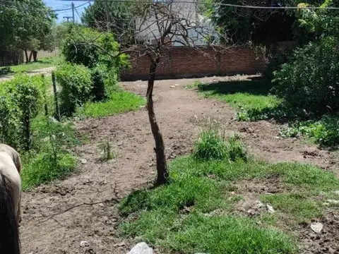 Terreno en Venta de 300,0 m2
