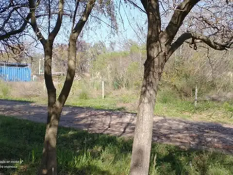 Terrenos Venta En La Reja Moreno
