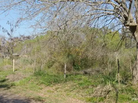 Terreno en Venta de 1600,0 m2