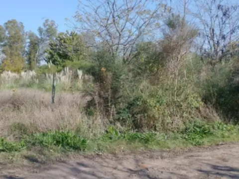 El Maestro, La Reja, Moreno, Provincia De Buenos Aires, Argentin A