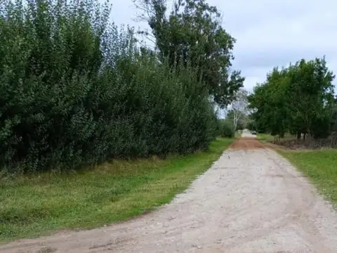 Venta lote en Los Pinos Balcarce entorno natural