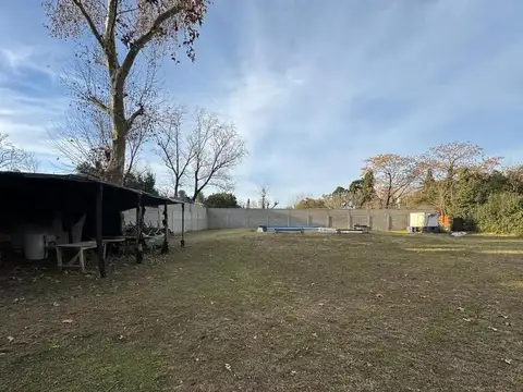 Sayos 500