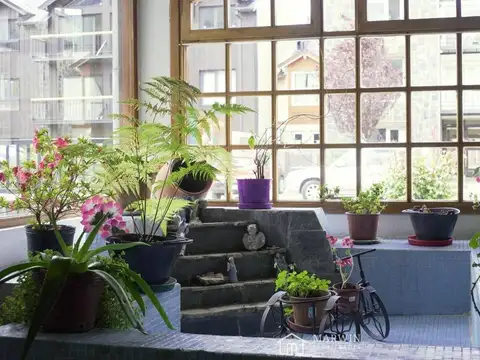 misionero mascardi 500