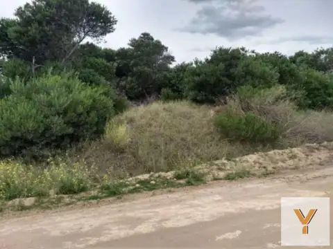 Terreno en Venta en Coronel Dorrego, USD 27.000