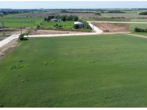 ALIA - Área logística e industrial , Piso No definido