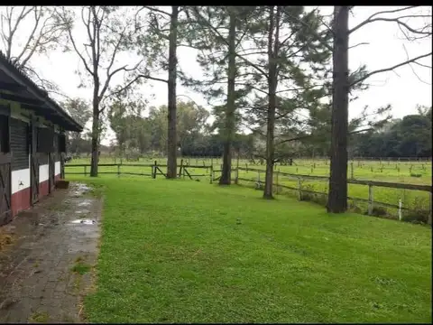 Haras 55 boxes - Solis - Prov. Bs As