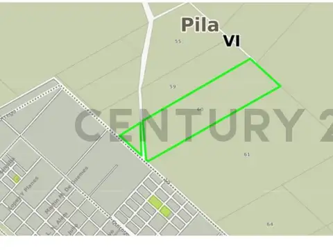 Campo en venta en Pila 46 Hectareas