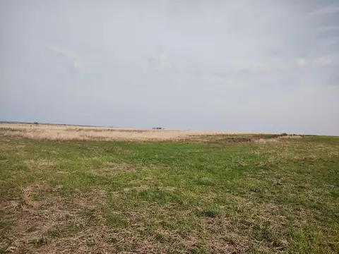 SE VENDEN 55 HAS AGRICOLAS SOBRE RUTA 11