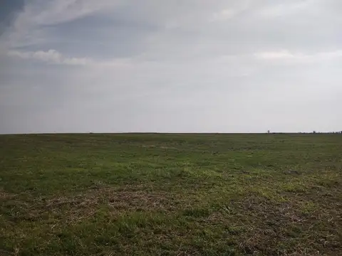 SE VENDEN 55 HAS AGRICOLAS SOBRE RUTA 11