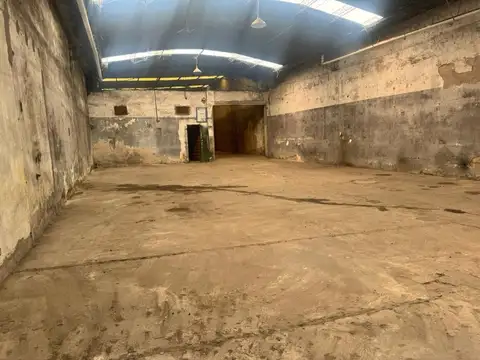 Doctor Mario Bravo 100