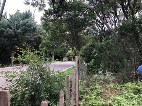 Francisco De La Mota