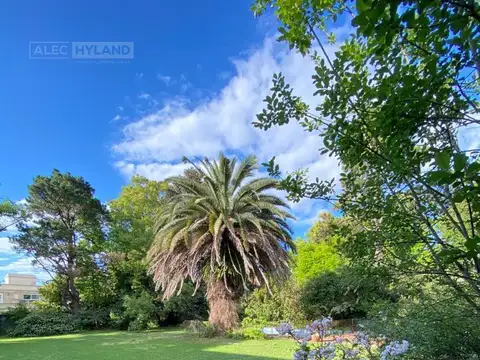 Isabel La Católica 251