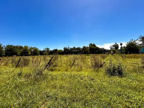 Carlos Pellegrini S/N