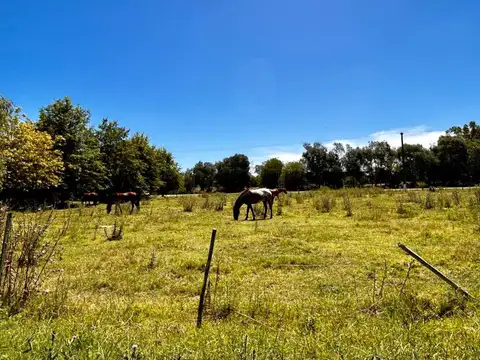Terreno en Venta de 5922,0 m2
