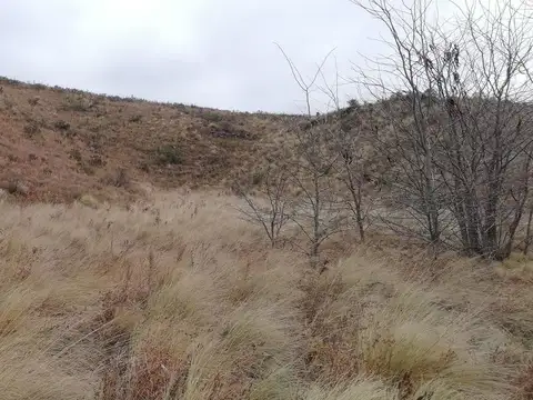 Terreno en Venta de 2443,0 m2