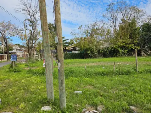 Salvador Maria Del Carril