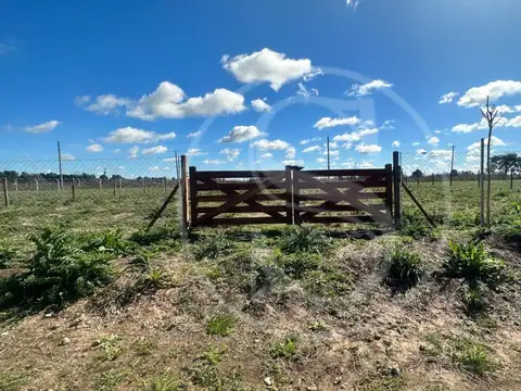 TERRENO EN VENTA LAS ACACIAS EXALTACIÓN DE LA CRUZ