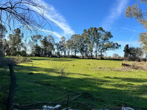 Terreno en Venta de 10000,0 m2