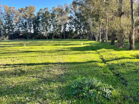 Hectárea en venta en 179 e 39 y 40