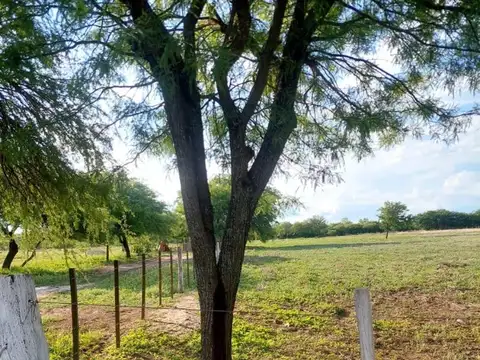 VENTA 3 HECTAREAS EN SANTIAGO DEL ESTERO