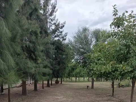 VENTA 3 HECTAREAS EN SANTIAGO DEL ESTERO