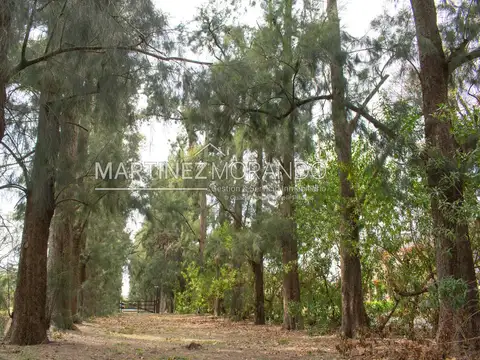 Terreno Lote  en Venta en La Otilia, Pilar, G.B.A. Zona Norte - MMO0190_LP541265_1