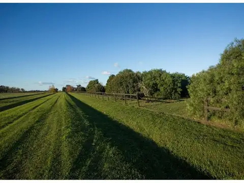 Santa Maria de Lobos